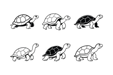 Galápagos Tortoise (Chelonoidis nigra) animal design, labeled line art vector art illustration.