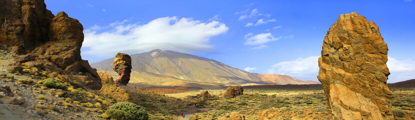 Del Teide National park, Tenerife , Canary Islands, Spain  © T.C.