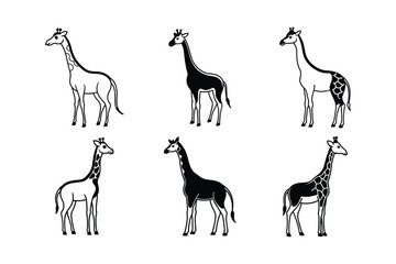 Giraffe (Giraffa camelopardalis) animal design, labeled line art vector art illustration.