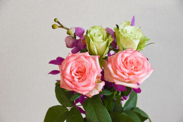 薔薇とアランダ