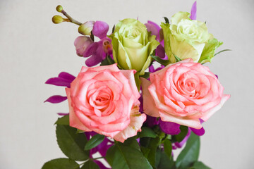 薔薇とアランダ