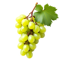 A bunch of green grapes with leaves on a transparent background