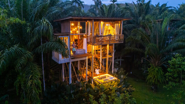 Nestled among lush greenery, a stunning treehouse glows warmly as evening falls. Vibrant lights illuminate the cozy space, inviting relaxation and connection with nature in the jungle rainforest - Powered by Adobe