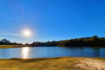 Water sky nature tree green