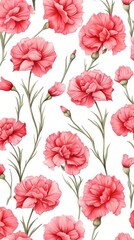 Carnations flower pattern plant inflorescence.