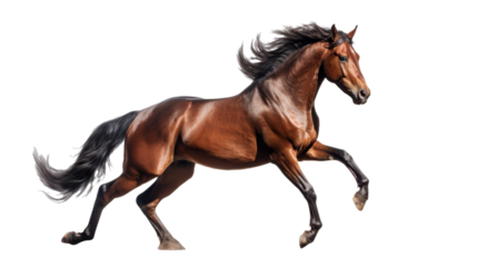 A stunning brown horse gallops energetically with its mane and tail flowing elegantly behind. The isolated background emphasizes its grace and power, creating a captivating natural display