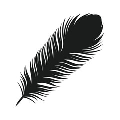 Obraz premium a peacock thin line feather details.