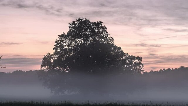 Beautiful day in Germany, Timelaps of clouds and moving fogg during dawn near a river. Sky is lit in a light red.