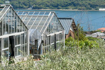 瀬戸内海を望む温室と緑豊かな風景