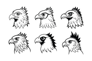 Harpy Eagle (Harpia harpyja) animal design, labeled line art vector art illustration.