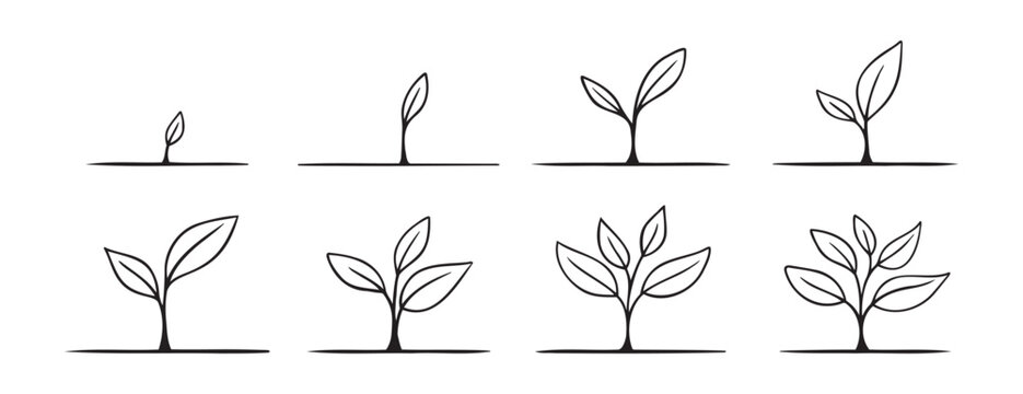 Growing sprout plant doodle hand drawn icon set. Growth phases and stages outline drawing line clipart symbol collection