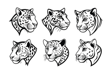 Jaguar (Panthera onca) animal design, labeled line art vector art illustration.