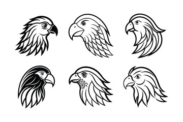 Kakapo (Strigops habroptilus) animal design, labeled line art vector art illustration.