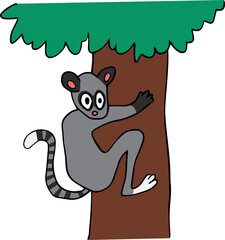 A frightened lemur with a long striped tail clings to the trunk of a wide tree