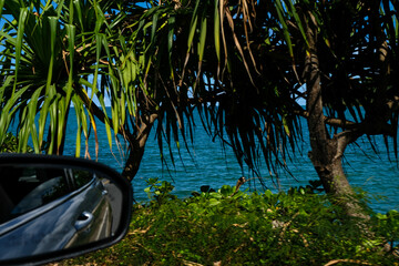 海沿いのドライブとトロピカルな風景