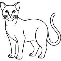 Fototapeta premium illustration of a cat line art