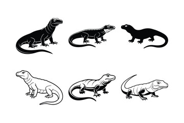 Komodo Dragon (Varanus komodoensis) animal design, labeled line art vector art illustration.