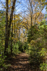 Autumn scenery along the St. Marks Wildlife Refuge section of the Florida Trail