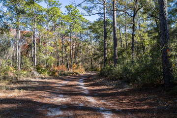 Autumn scenery along the St. Marks Wildlife Refuge section of the Florida Trail