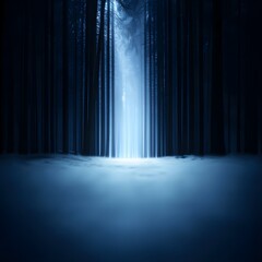 Fototapeta premium Dark Blue Winter Forest Path at Night