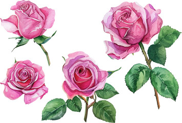 Naklejka premium bouquet of roses