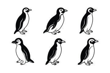 Little Penguin (Eudyptula minor) animal design, labeled line art vector art illustration.