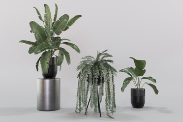 Plant pots in various natural shapes on a white background 3d