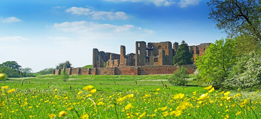 Wild flower meadow in front of Kenilworth Castle , Warwickshire, UK