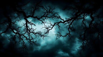 Dark Silhouette of Tree Branches Against a Stormy Sky