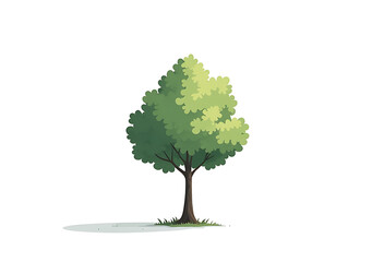 Fototapeta premium lone green tree stands stark white backdrop