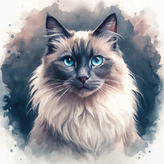 A beautifully detailed watercolor painting of a Ragdoll cat with its long, silky coat