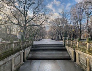 Central Park the Mall