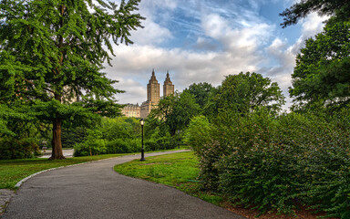 Central Park summer, early morning
