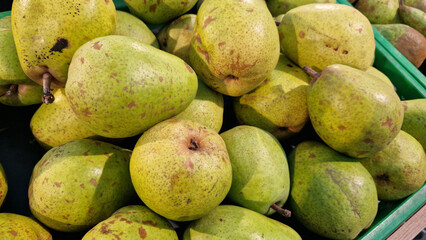 Ripe pears for sale in a supermarket. Pears close-up with selective focus. Fruits. A pile of pears for sale in a store. A variety of fresh fruits on a supermarket counter