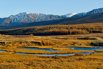 Russia. The South of Western Siberia, the Altai Mountains. View of the swampy flowing labyrinths of Lake Dzhangyskol, lost in the Kurai steppe at the foot of the North Chuisky range.