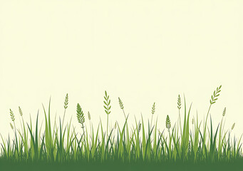 grass different plants terms growth