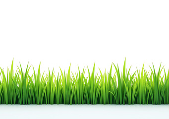 Fototapeta premium green grass isolated white background alpha mask easy photo editing purposes