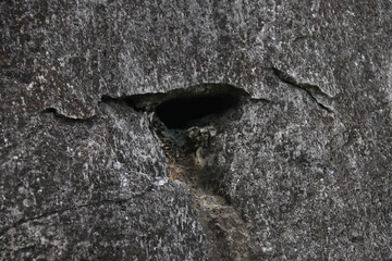 Weathered stone wall texture with intricate erosion patterns, ideal for backgrounds and abstract...