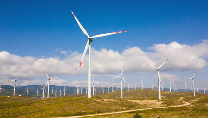 Wind Farm on Hilltop: A sprawling wind farm stands proudly on a sun-drenched hilltop against a backdrop of a clear blue sky and puffy white clouds, a symbol of clean energy and sustainability. 