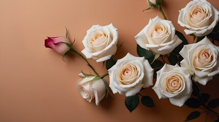 An Elegant and Beautiful Arrangement of White and Pink Roses Set on a Soft and Gentle Background