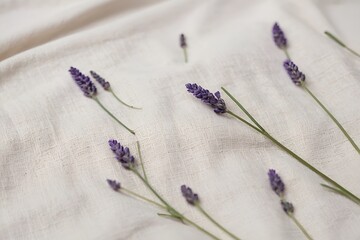 Lavender sprigs arranged on a soft fabric background for charm, beauty, and elegance