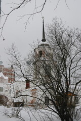 domes of churches Svyato-Artemievo Verkolsky male Orthodox monastery