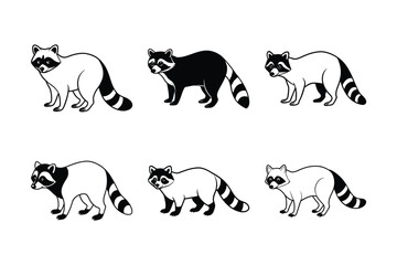 Raccoon (Procyon lotor) animal design, labeled line art vector art illustration.