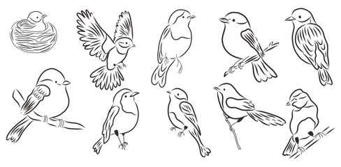 Doodle elegant spring birds set. Hand drawn vector design.