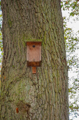 A hanging incubator for birds in the autumn forest