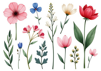 Fototapeta premium watercolors evoke mix wild beauty floral elements making collection visually