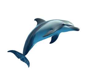 Fototapeta premium A playful dolphin swimming gracefully, with its body arched in the water. Transparent background