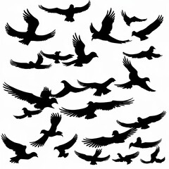 Obraz premium silhouettes of birds with white background;
