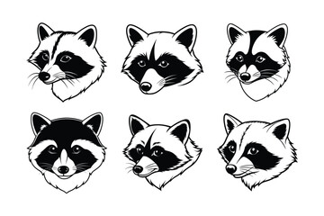 Obraz premium Raccoon (Procyon lotor) animal design, labeled line art vector art illustration.