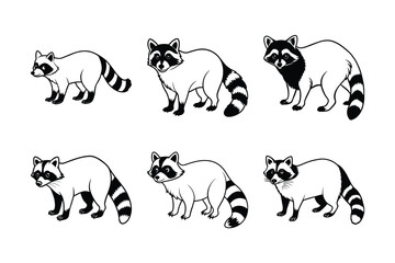 Raccoon (Procyon lotor) animal design, labeled line art vector art illustration.